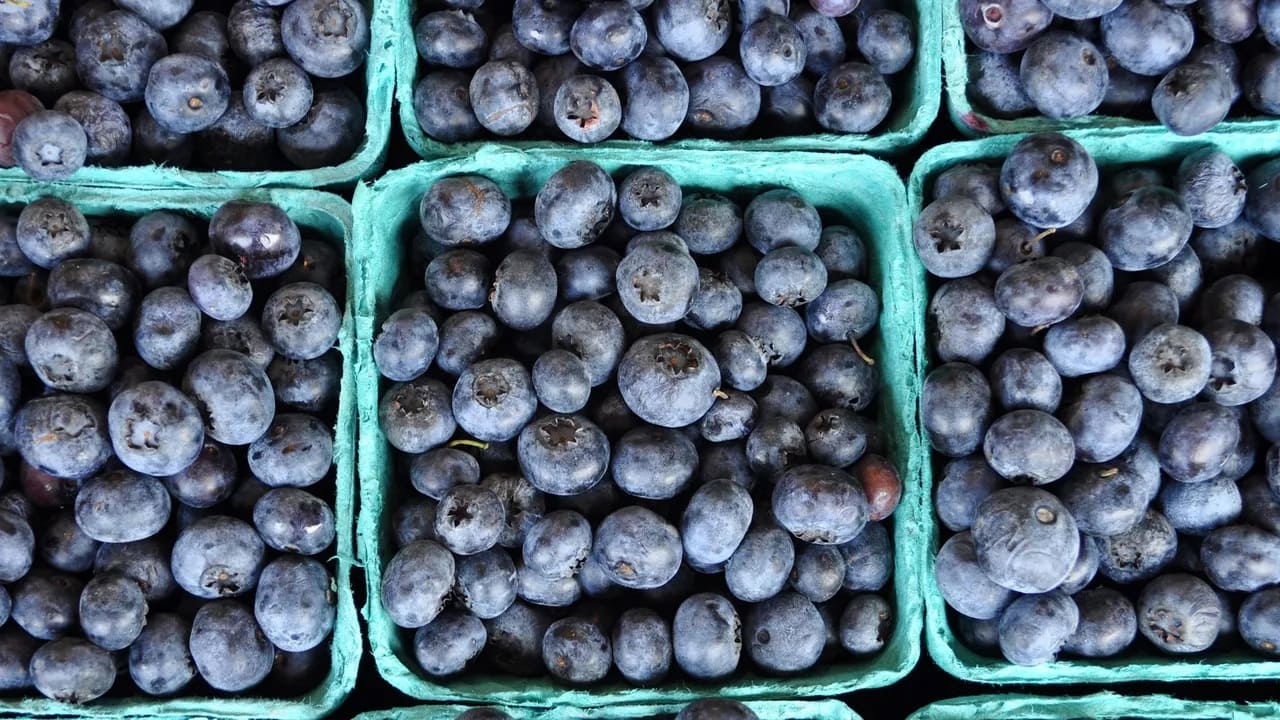 How To Store Blueberries To Last Longer