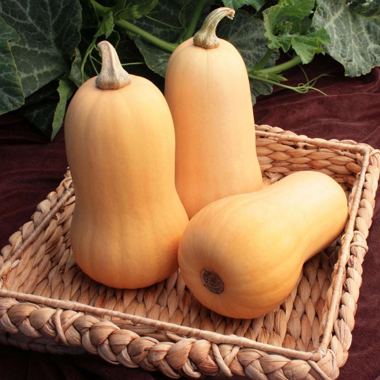 How To Store Butternut Squash For The Winter