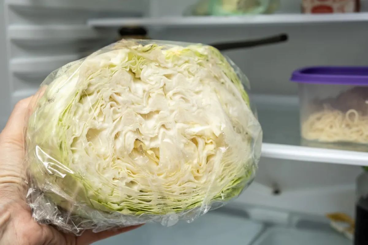 How To Store Cabbage For 6 Months