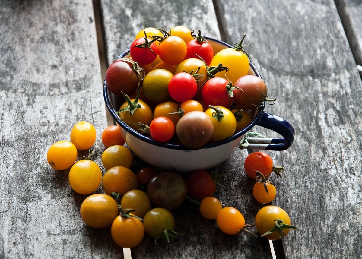 How To Store Cherry Tomatoes Long Term