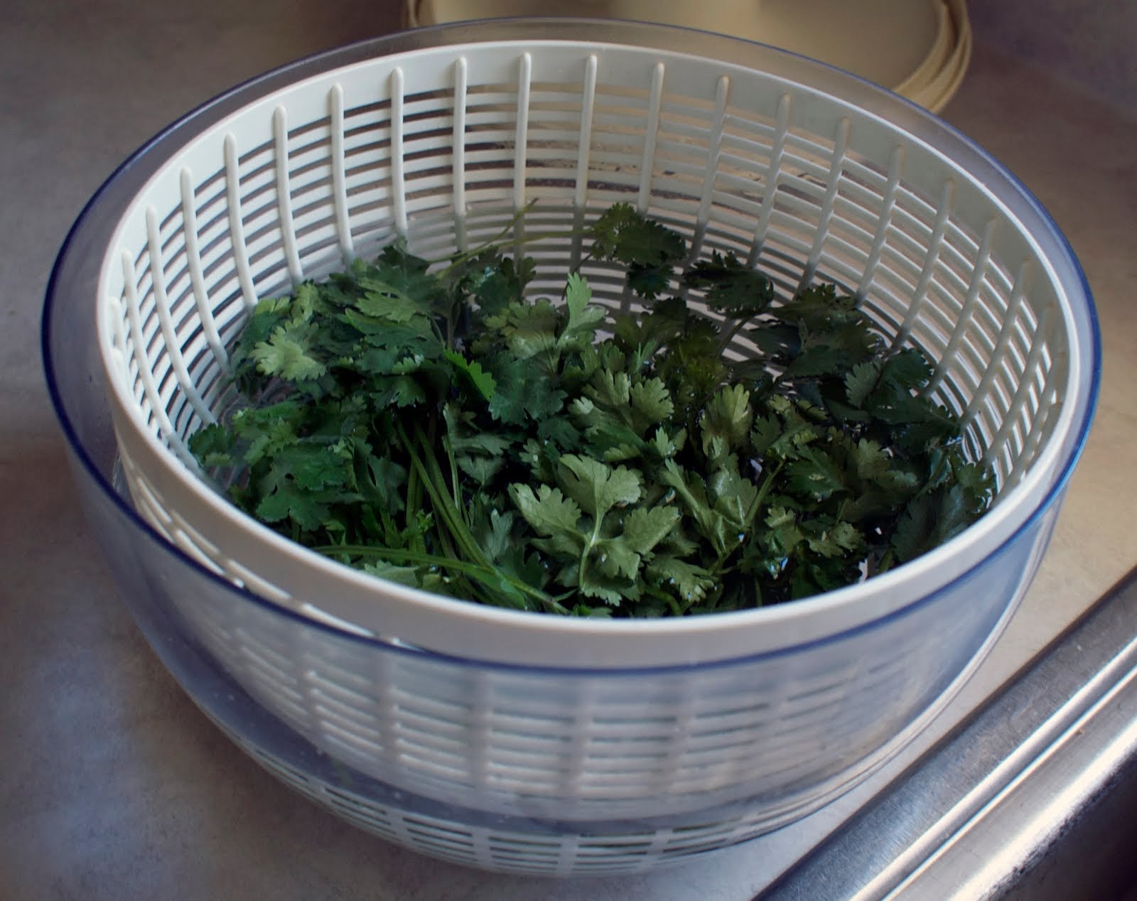 How To Store Cilantro Leaves