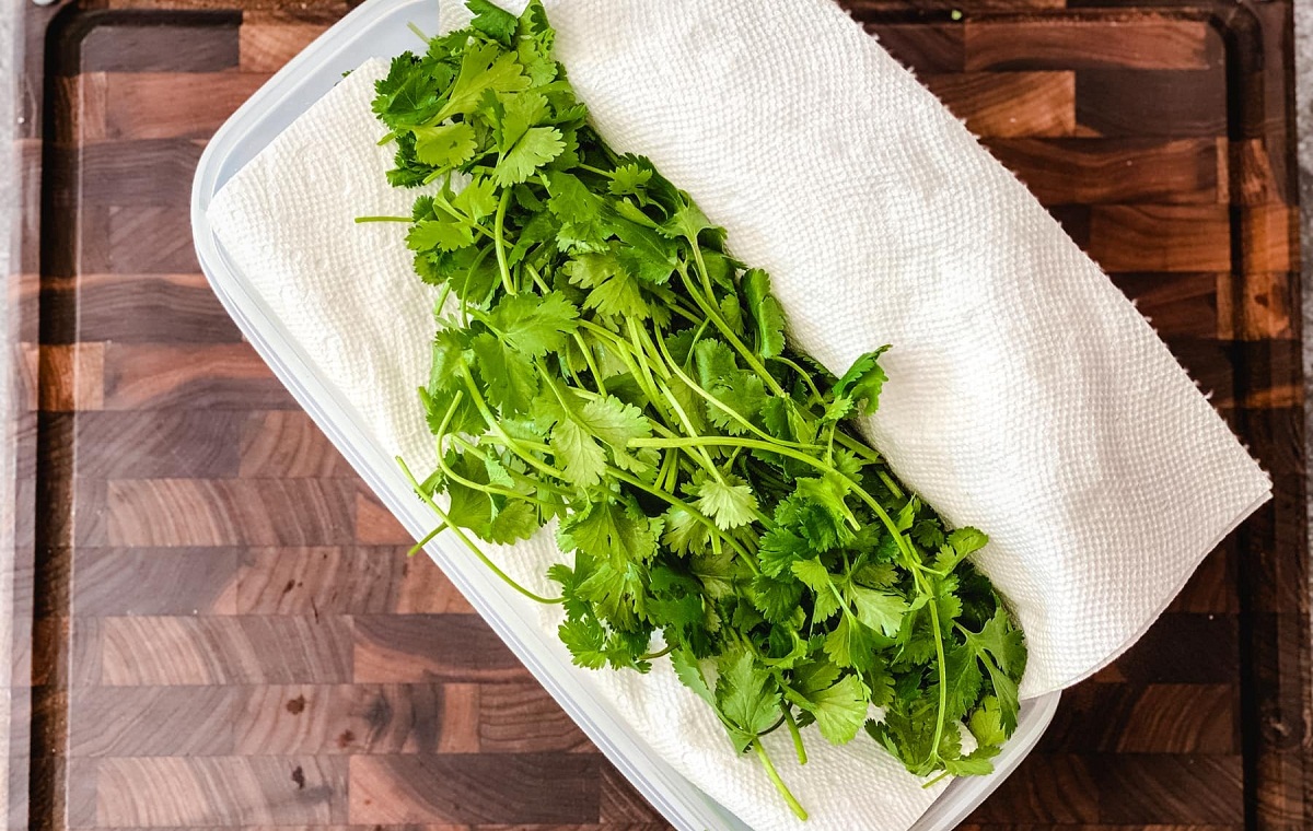 How To Store Cilantro With Roots