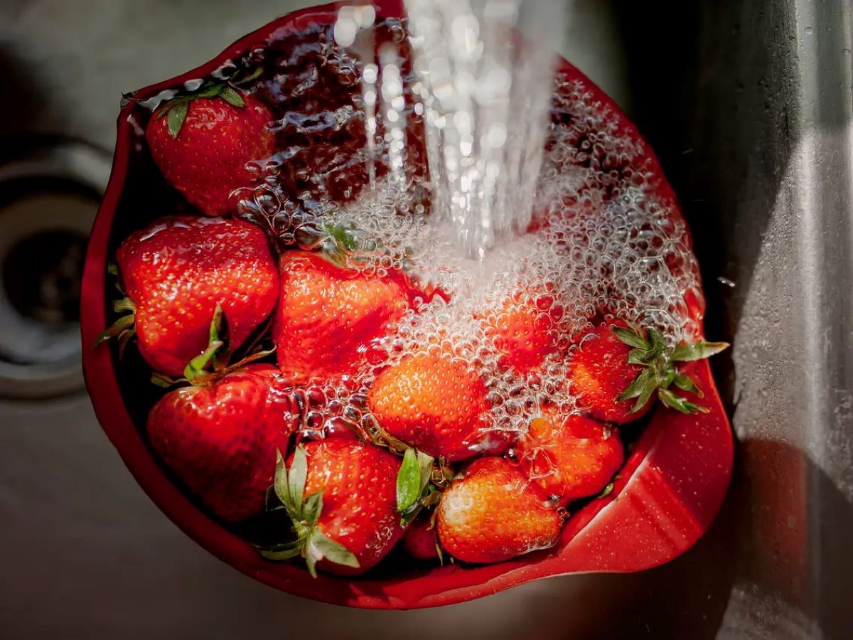 How To Store Cleaned Strawberries