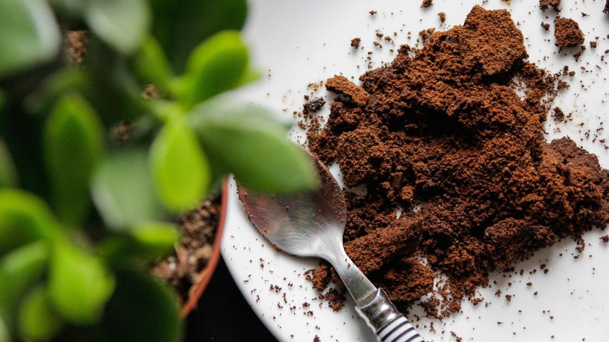 How To Store Coffee Grounds For Garden