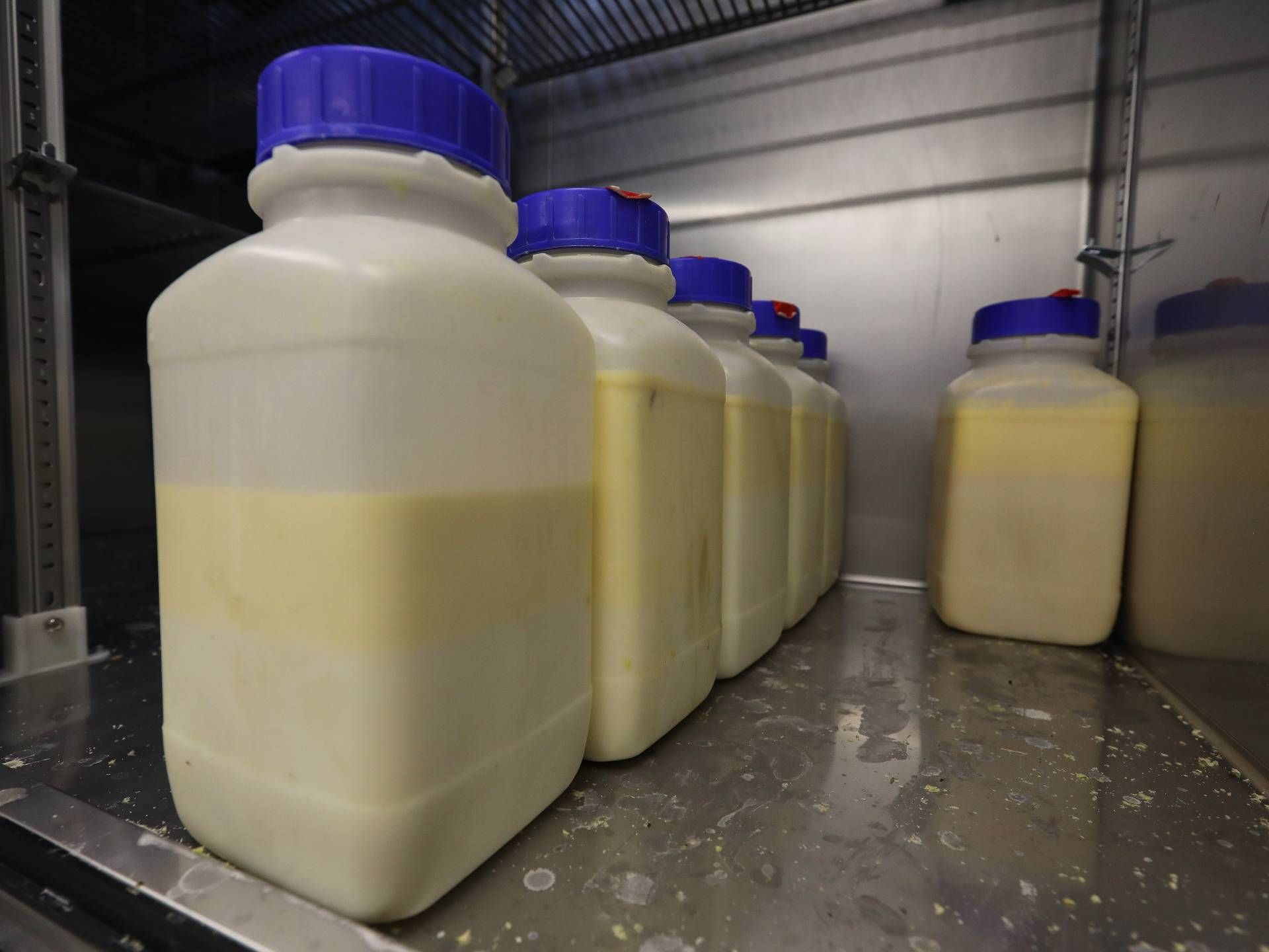 How To Store Colostrum Milk