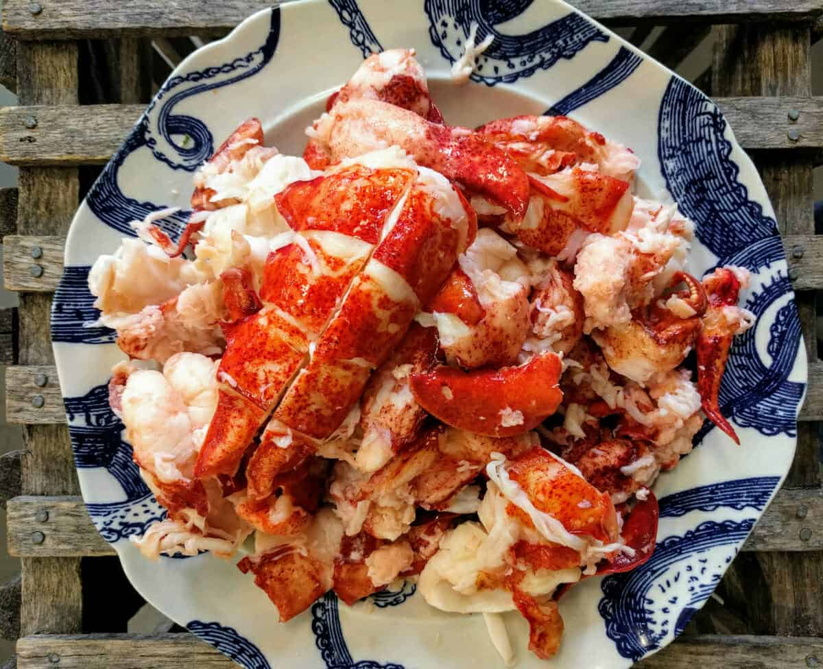 How To Store Cooked Lobster Meat
