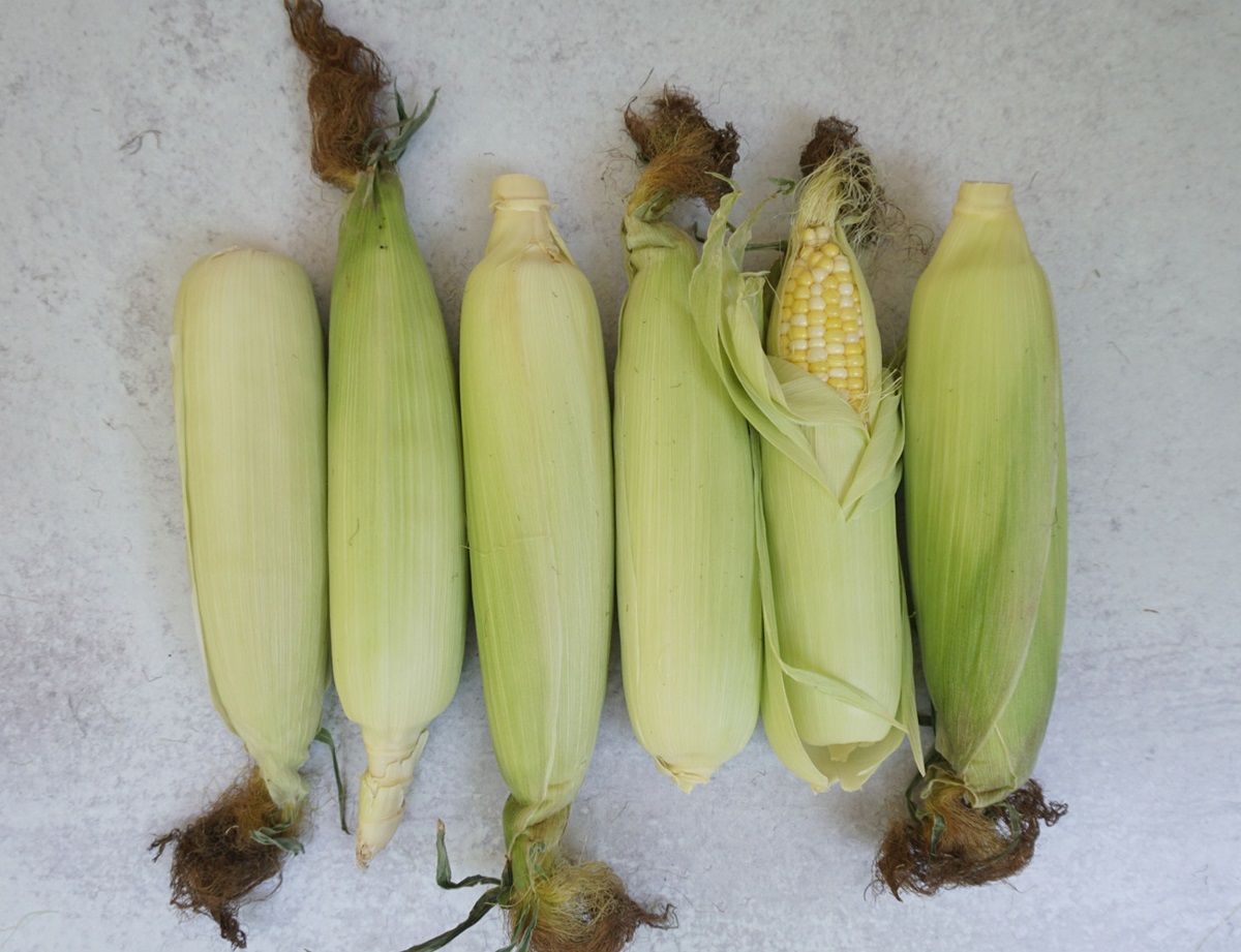 How To Store Corn In The Husk