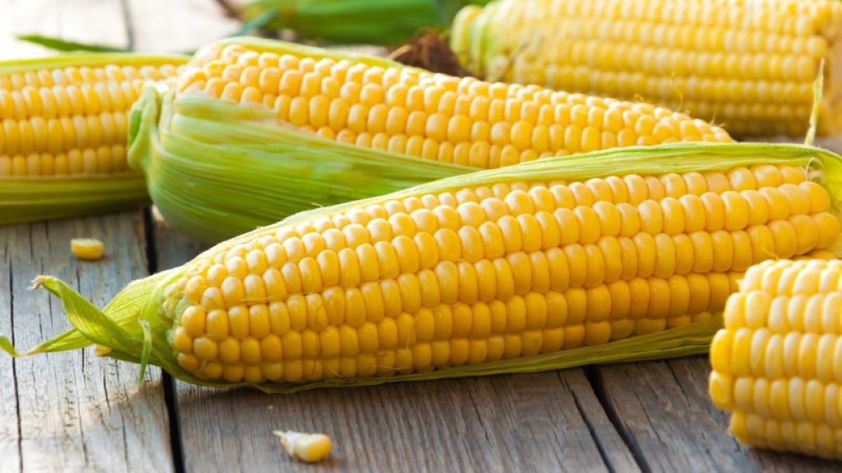 How To Store Corn On The Cob