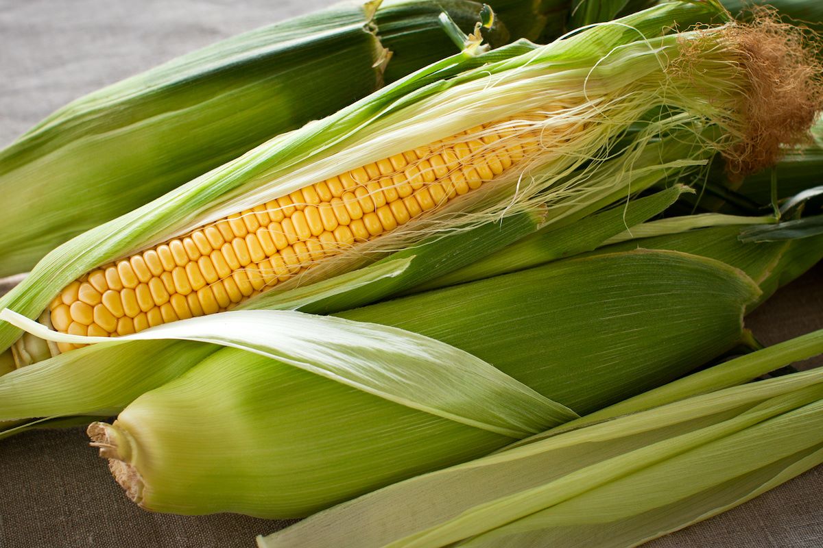 How To Store Corn On The Cob With Husk