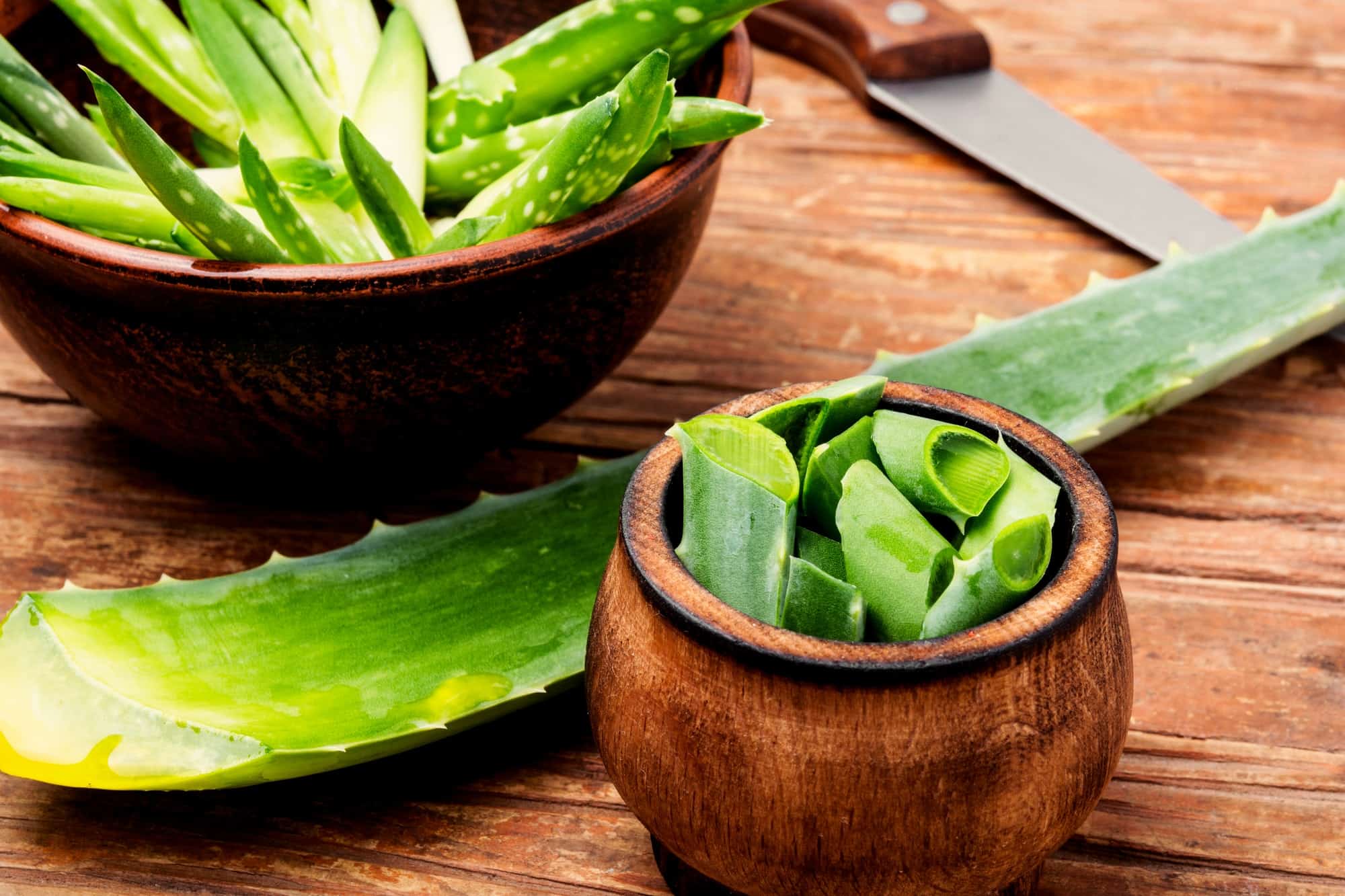 How To Store Cut Aloe Leaves
