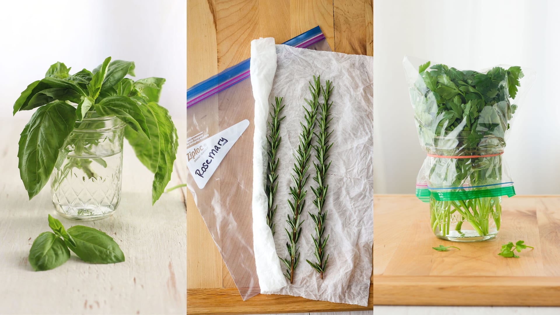 How To Store Cut Basil