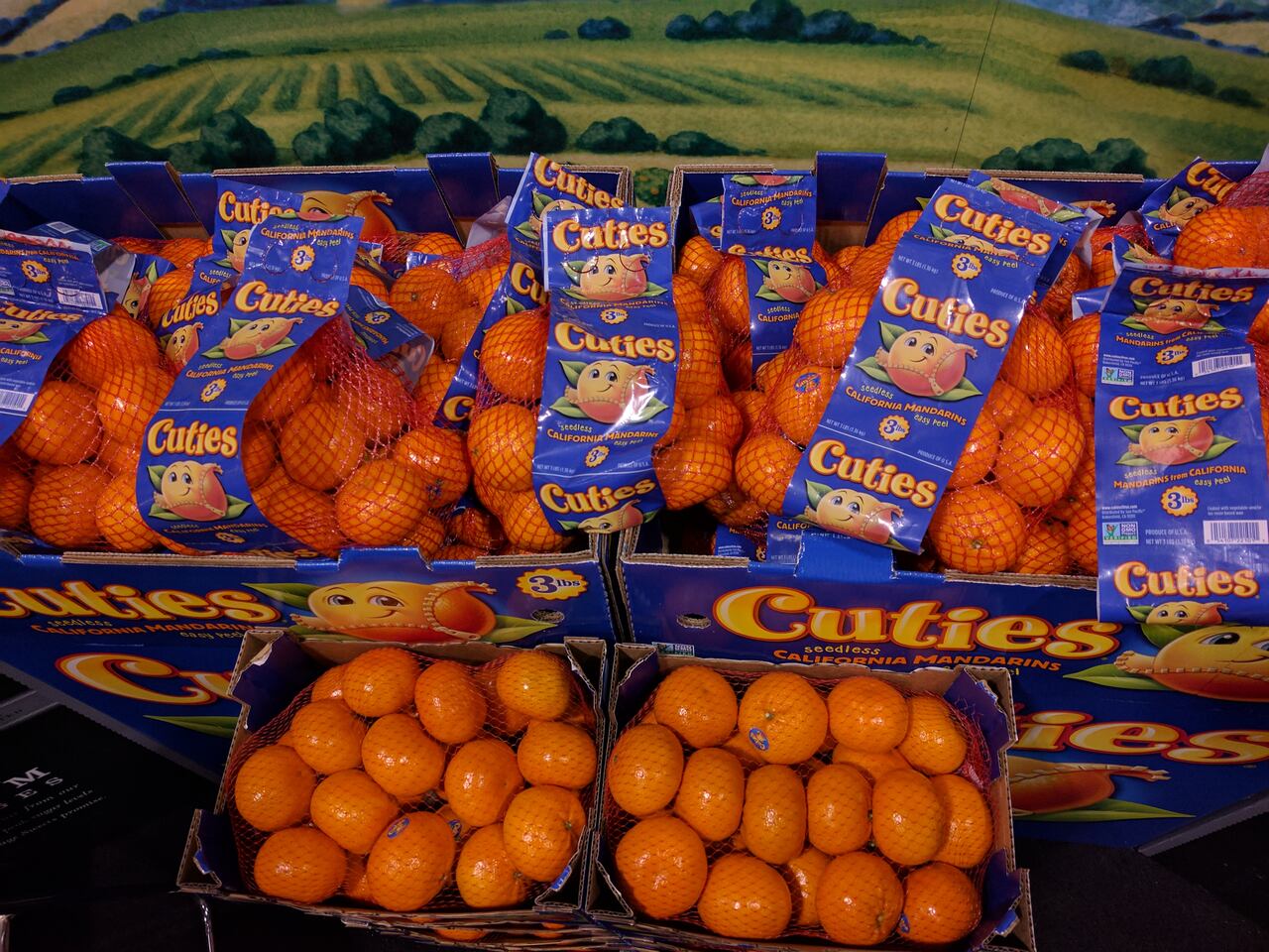 How To Store ‘Cuties’ Or Seedless Oranges
