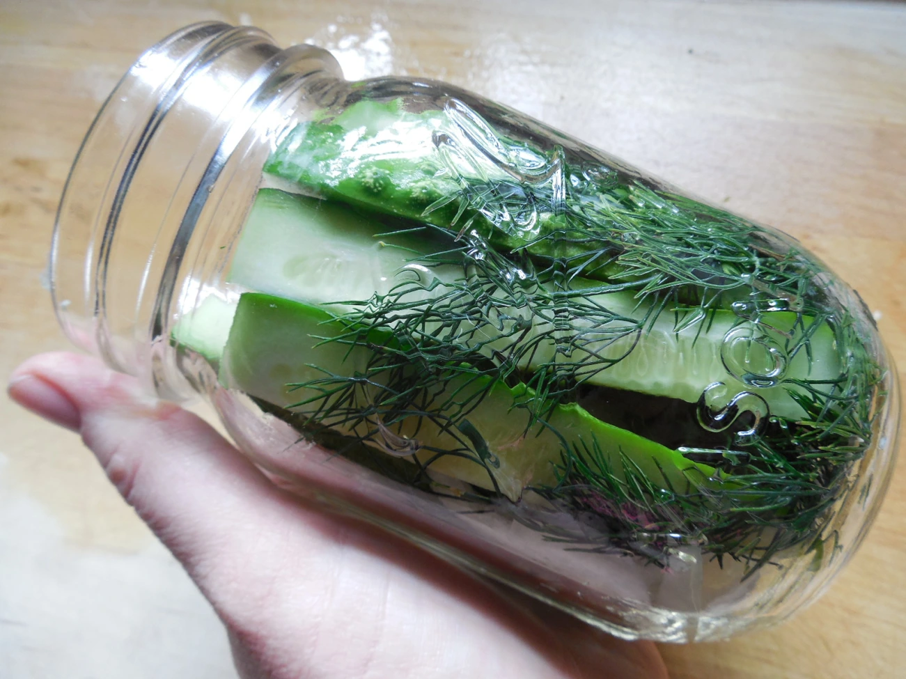 How To Store Dill In Refrigerator