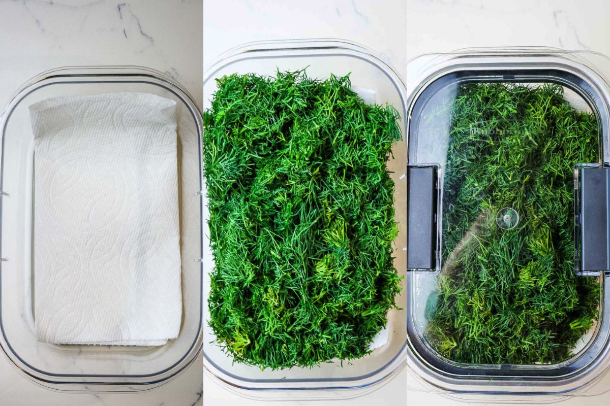 How To Store Dill In The Refrigerator