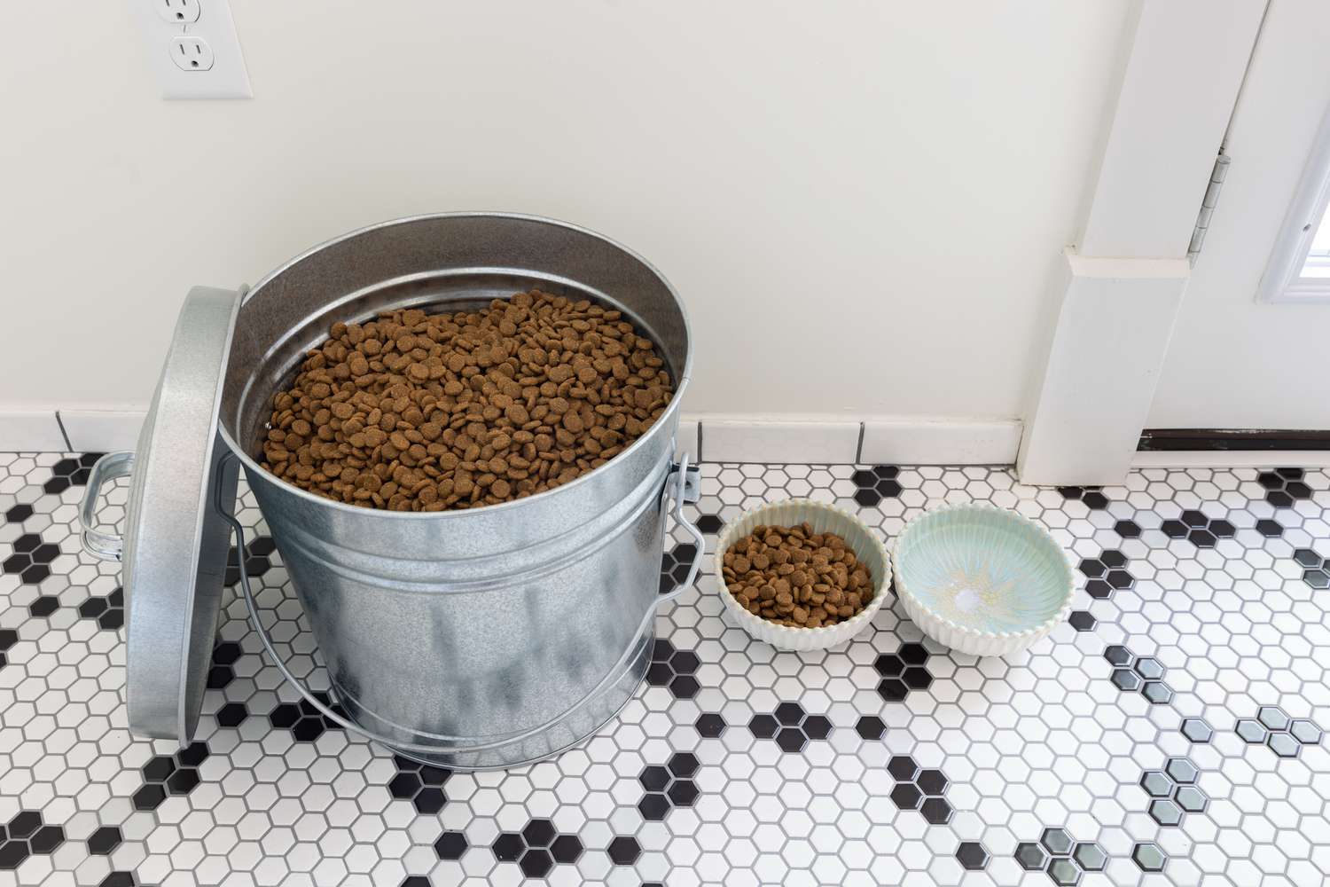 How To Store Dog Food
