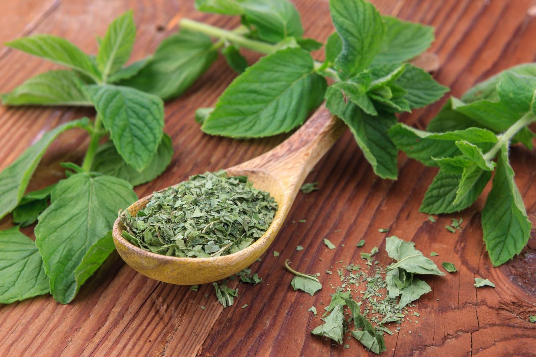 How To Store Dried Mint Leaves