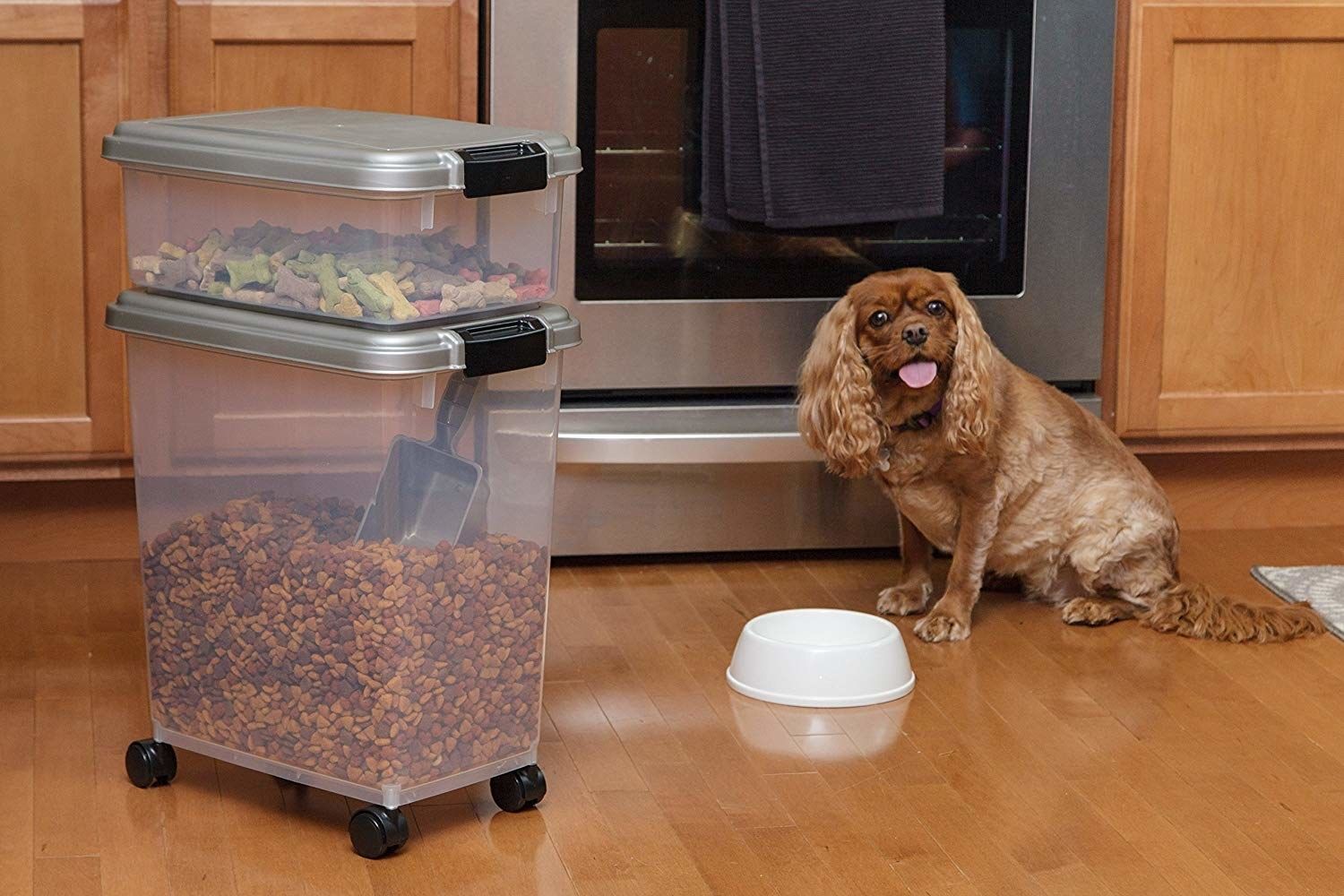 How To Store Dry Dog Food