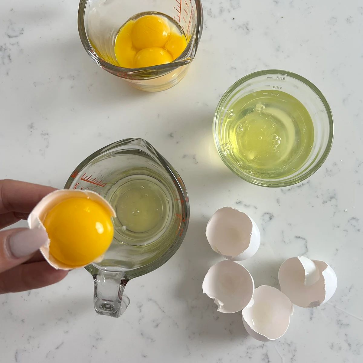 How To Store Egg Whites