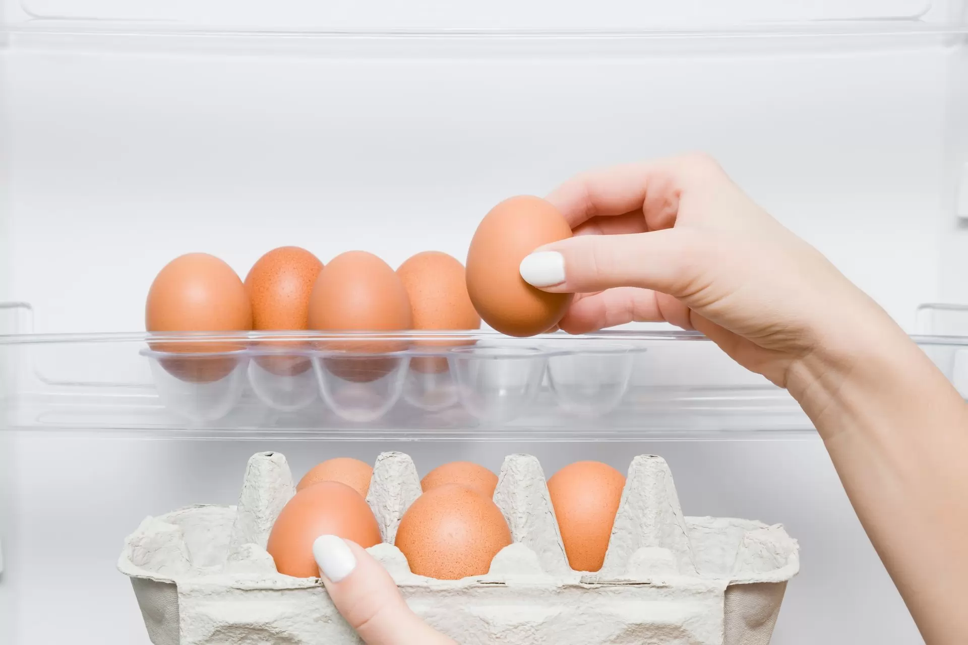 How To Store Eggs Properly