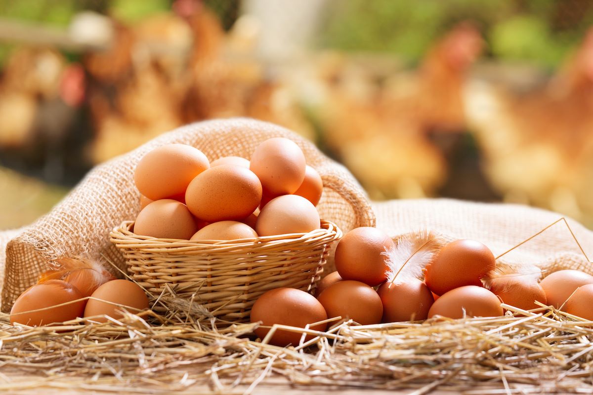 How To Store Eggs Without Refrigeration