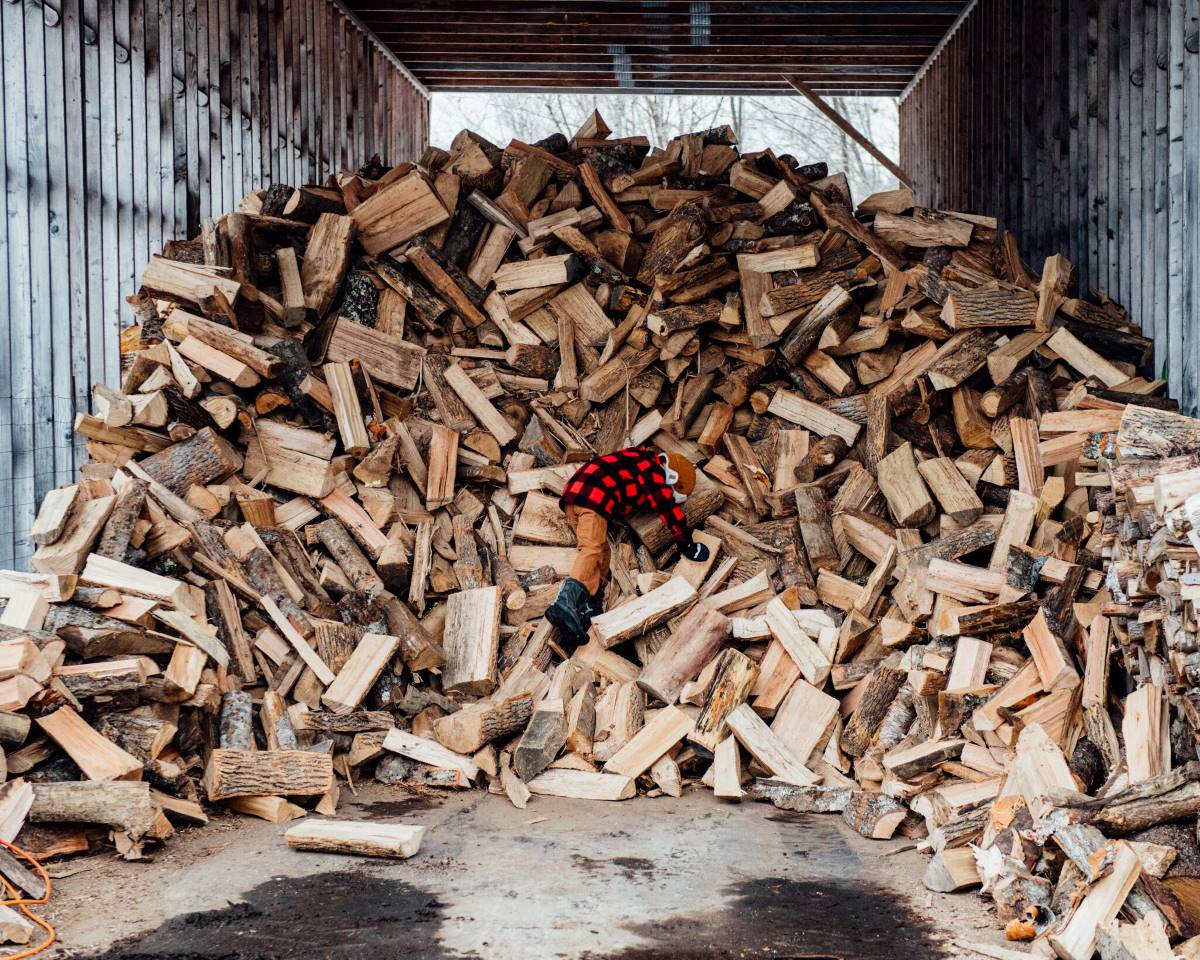 How To Store Firewood Outside In Summer