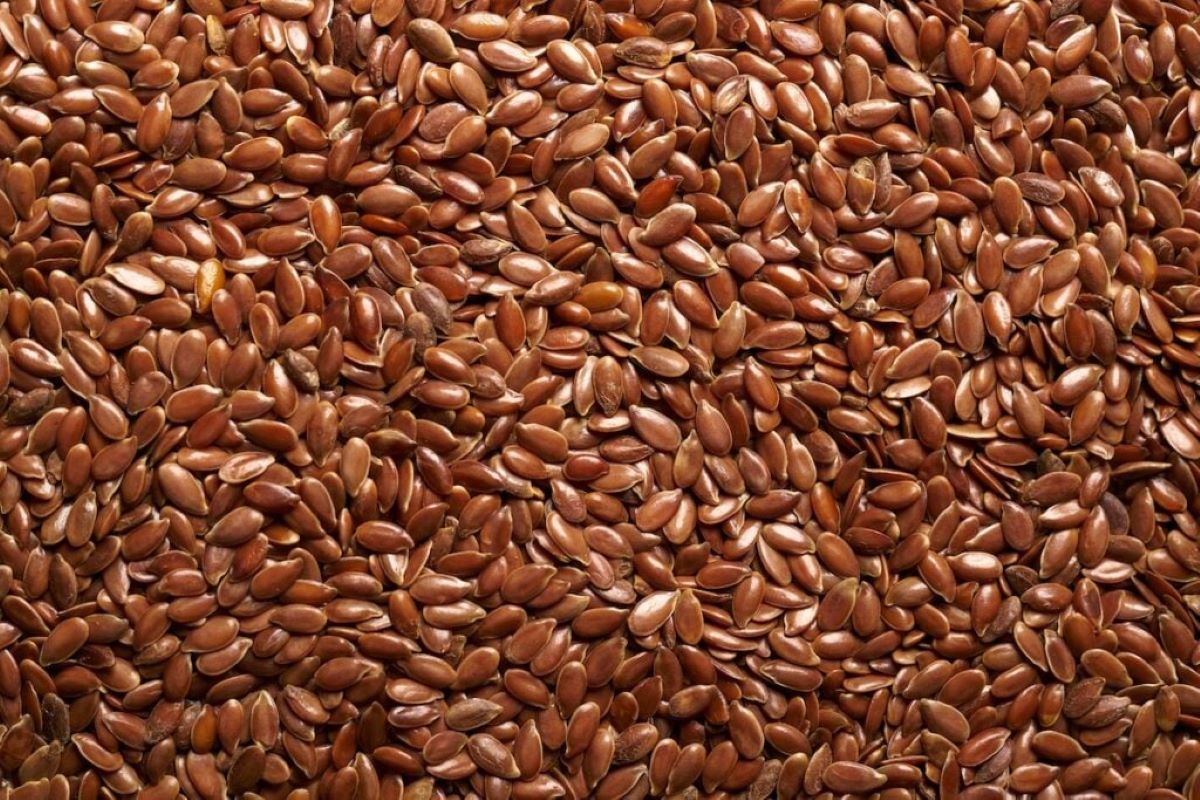 How To Store Flax Seeds Long Term