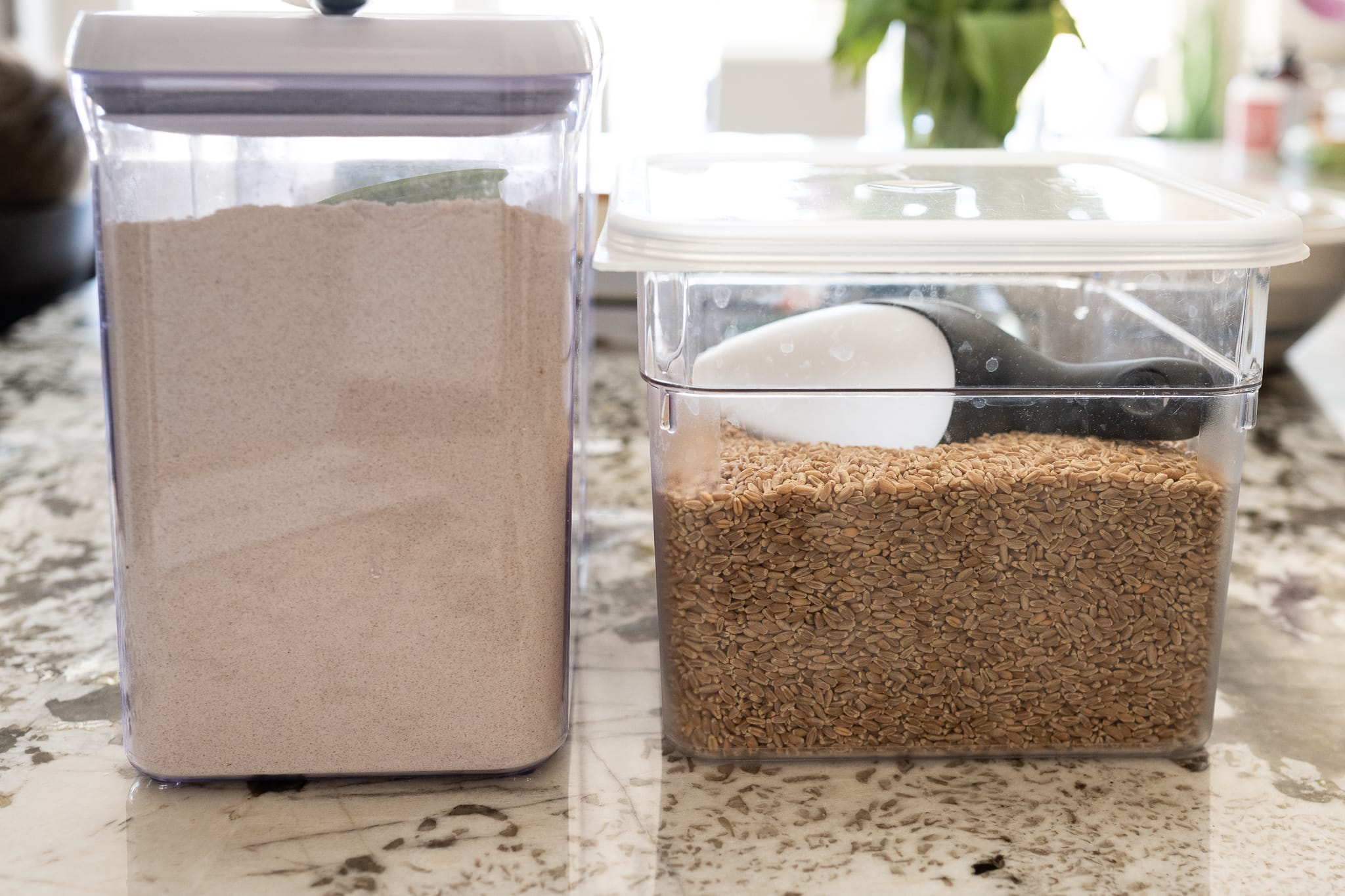 OXO POP Containers Fit Entire Bags of Flour and Sugar and Keep