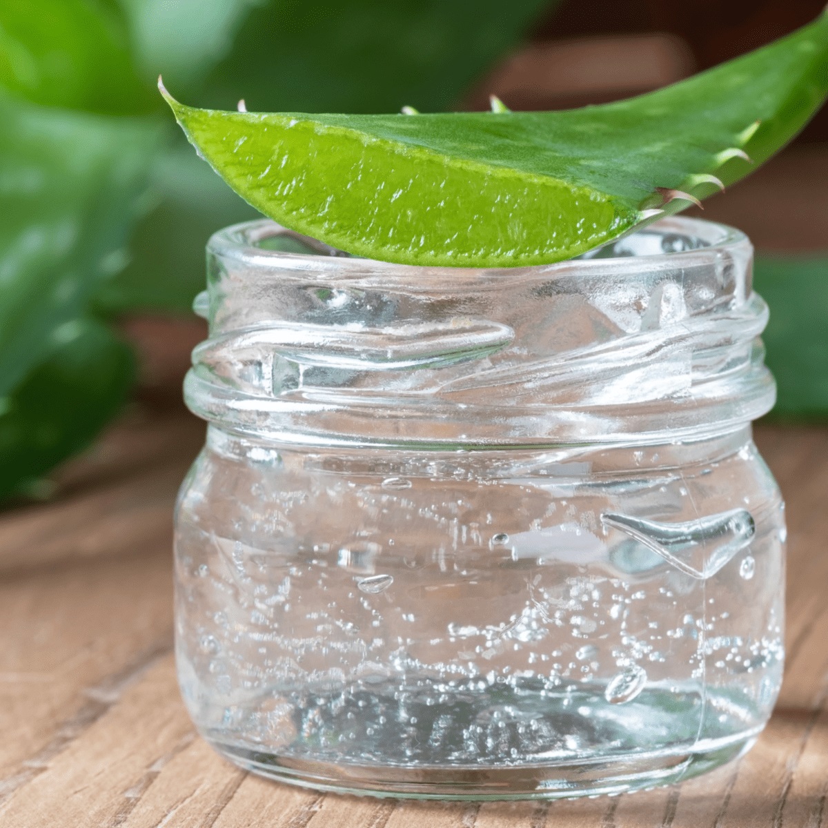 How To Store Fresh Aloe Vera Gel At Home