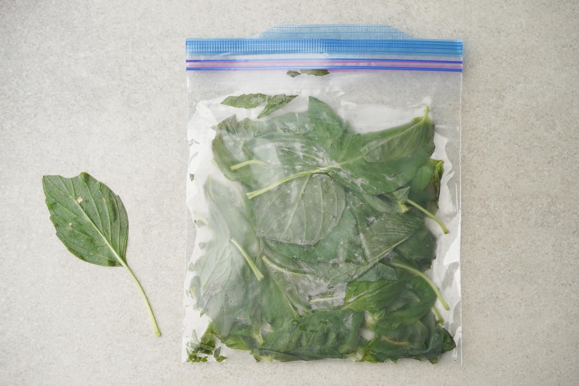 How To Store Fresh Basil Leaves In The Fridge