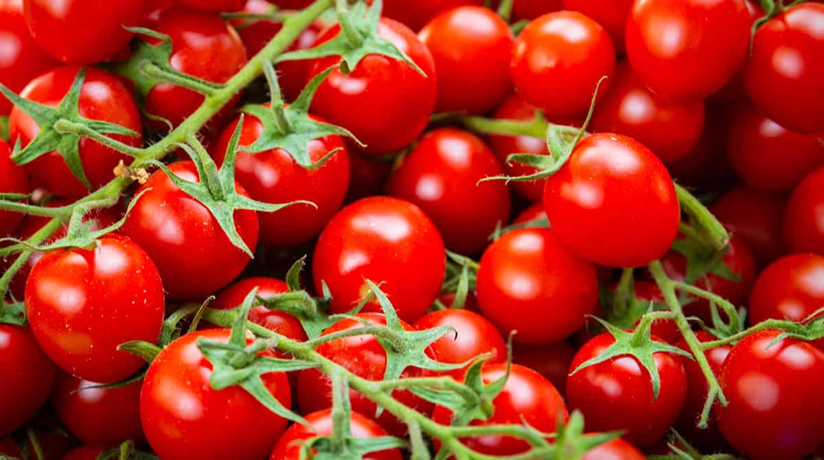 How To Store Fresh Cherry Tomatoes