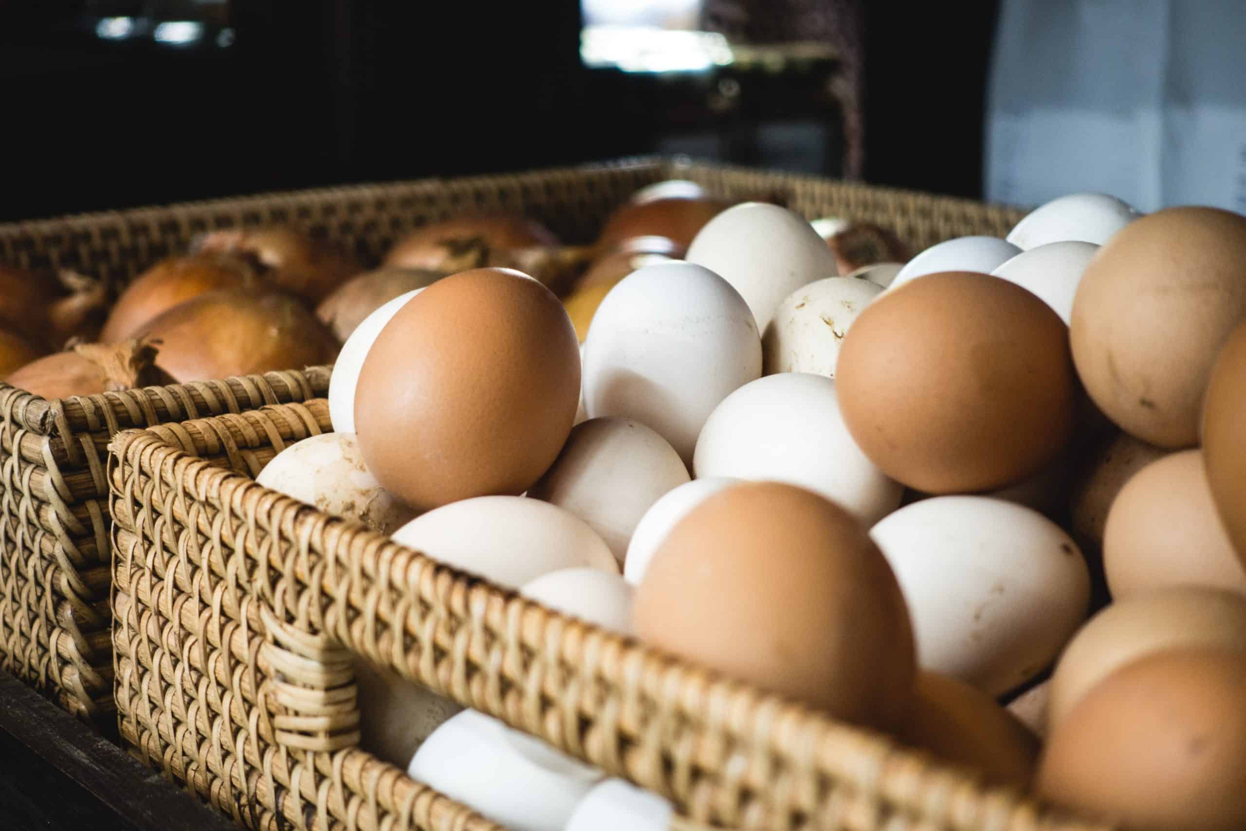 How To Store Fresh Chicken Eggs