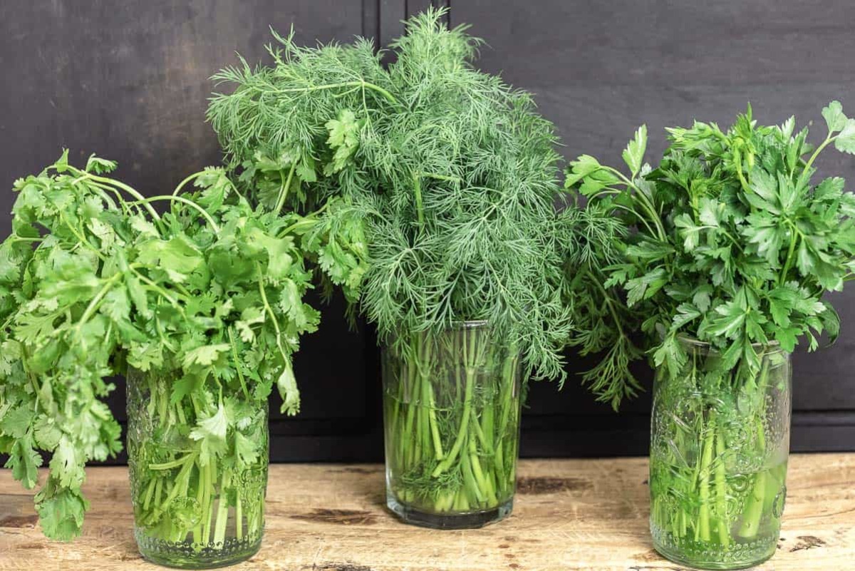 How To Store Fresh Dill And Parsley
