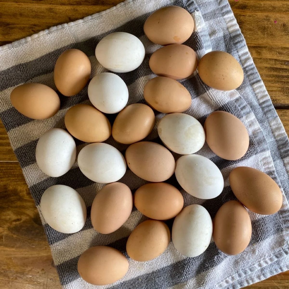 How To Store Fresh Eggs?