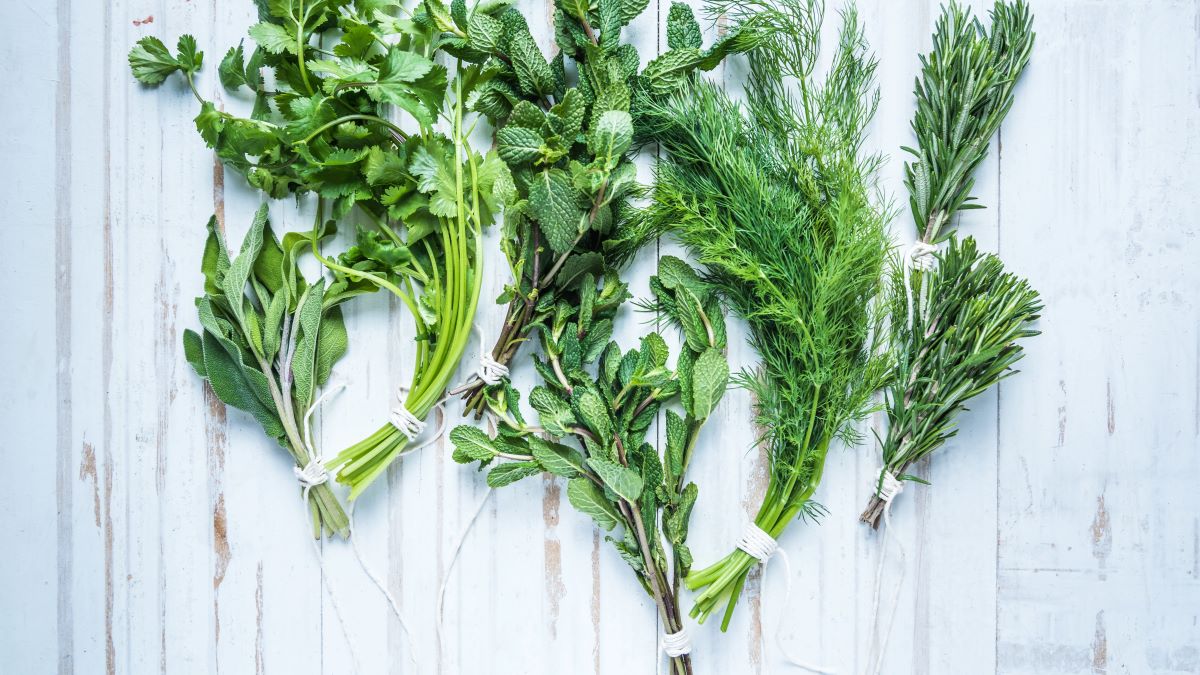 How To Store Fresh Herbs In Fridge