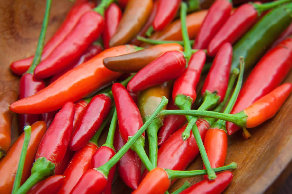 How To Store Fresh Hot Peppers