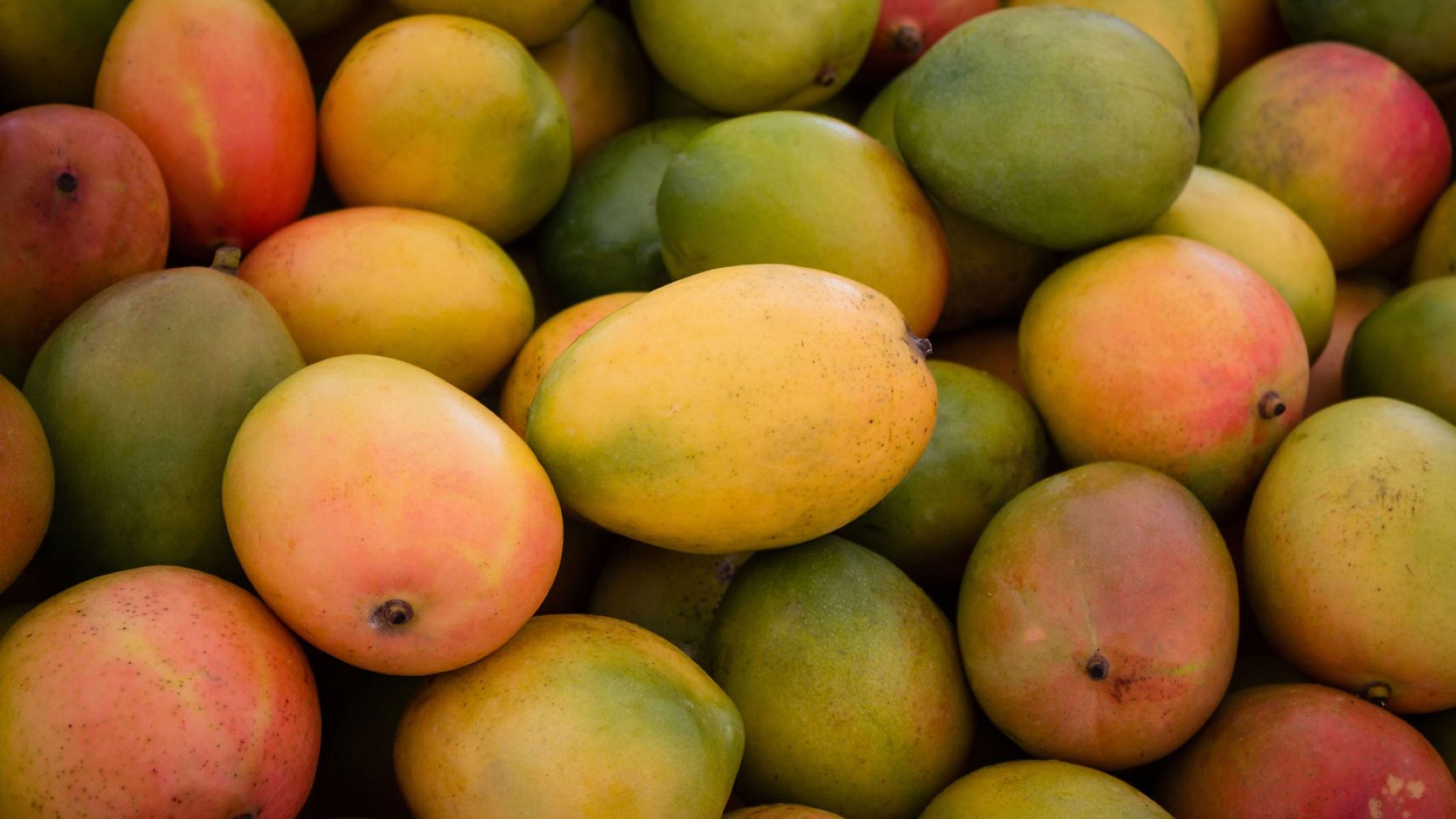 How To Store Fresh Mangoes