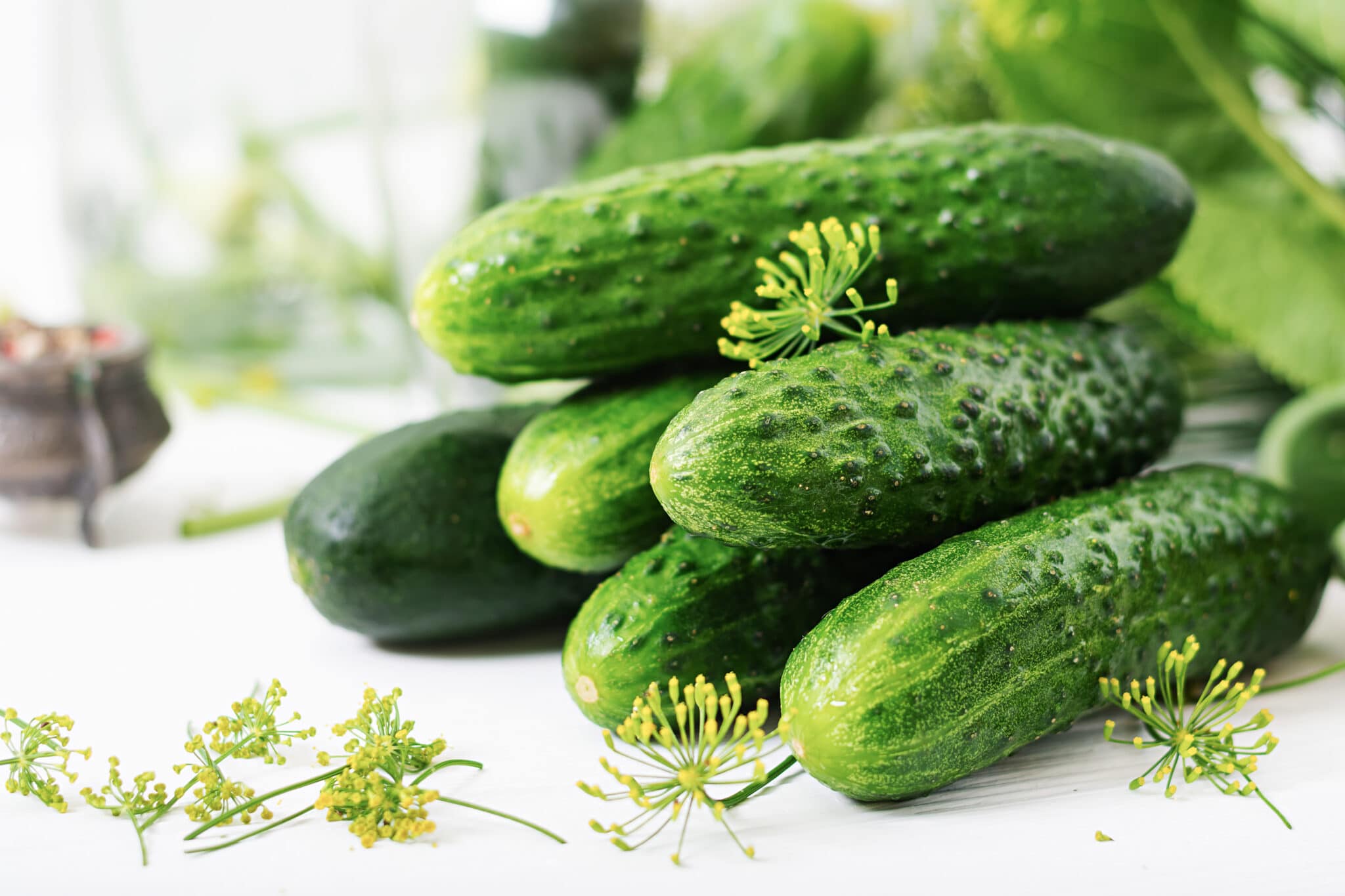 How To Store Fresh Picked Cucumbers