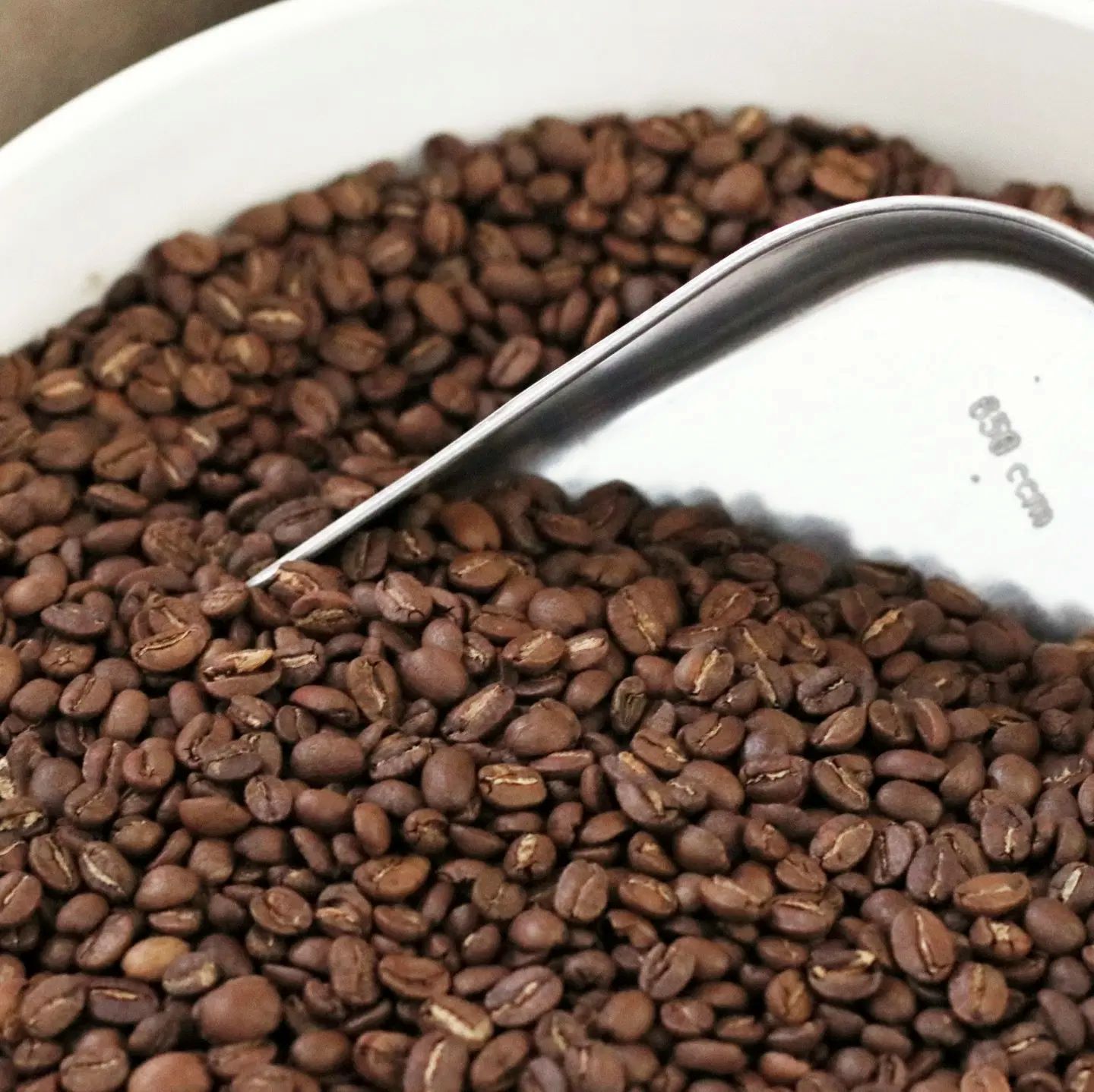 How To Store Fresh Roasted Coffee Beans