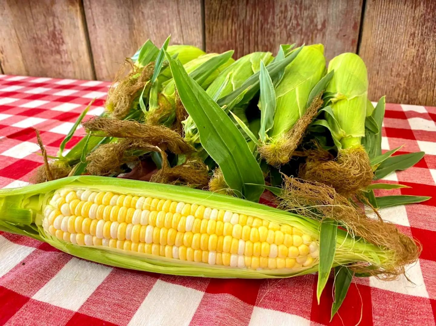 How To Store Fresh Sweet Corn
