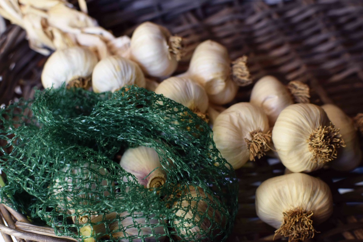How To Store Garlic Bulb