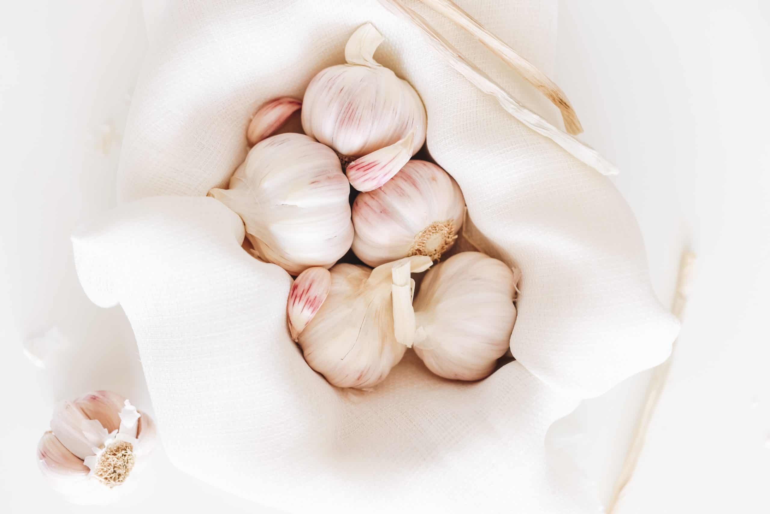 How To Store Garlic Bulbs