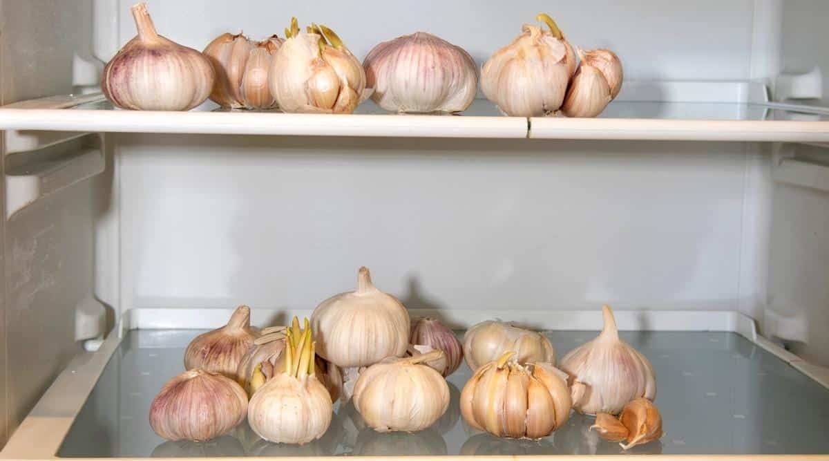 How To Store Garlic In Fridge