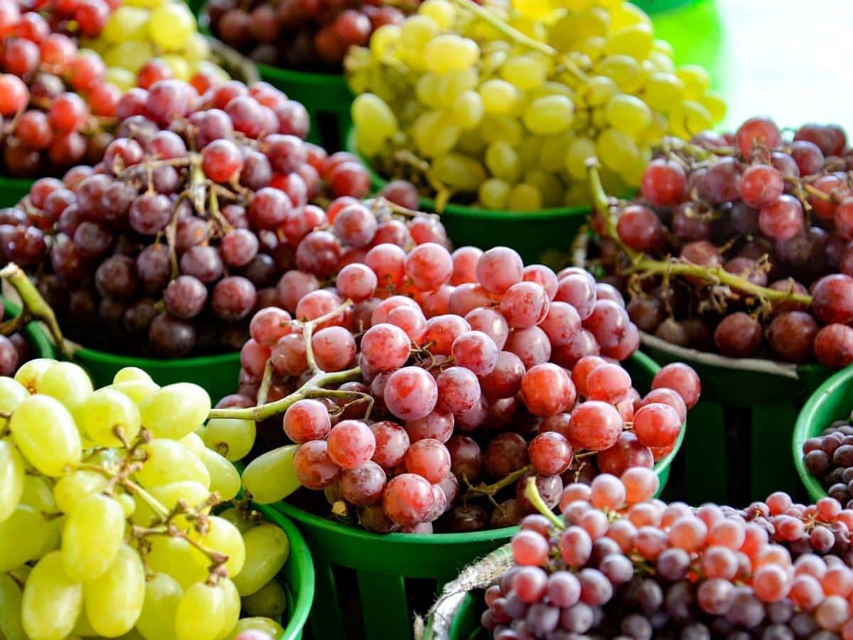 How To Store Grapes To Last Longer Storables