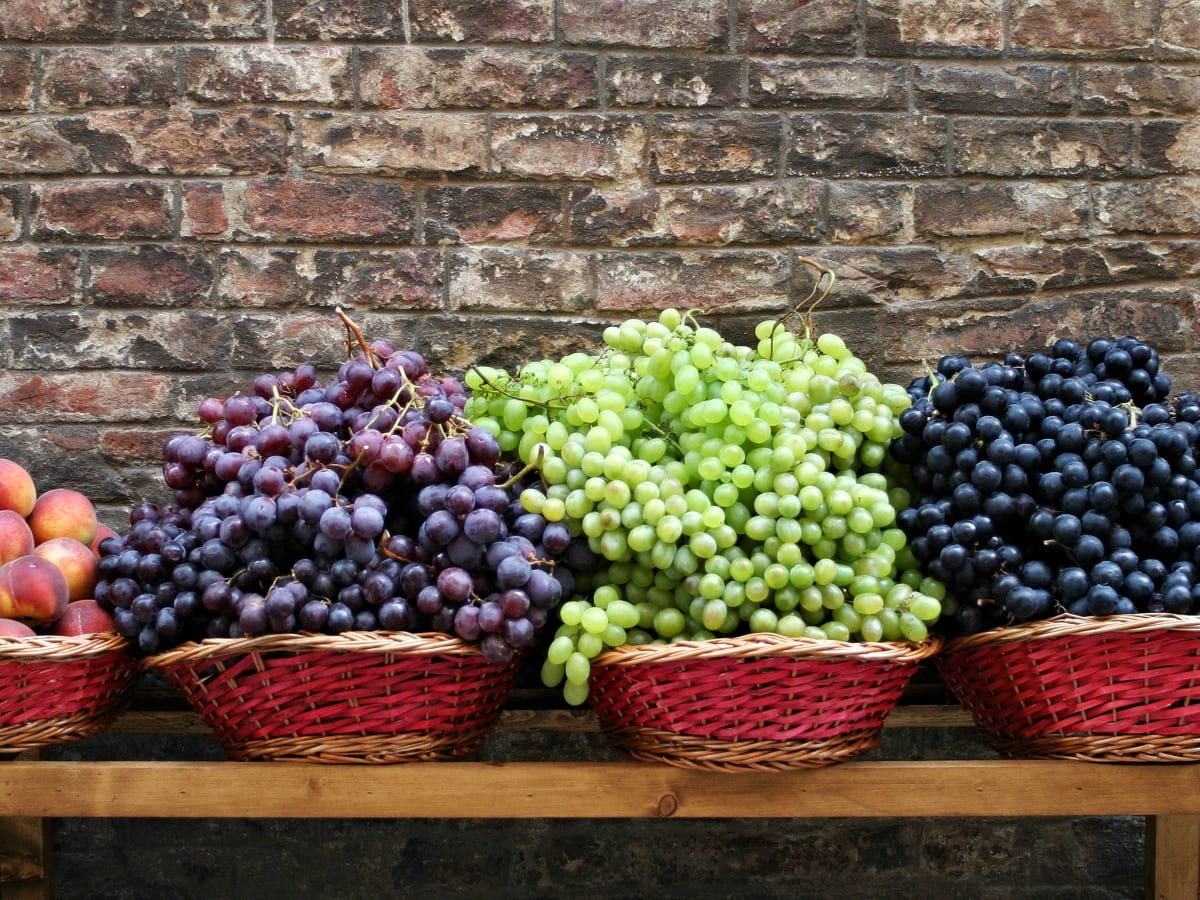 How To Store Grapes Without Fridge