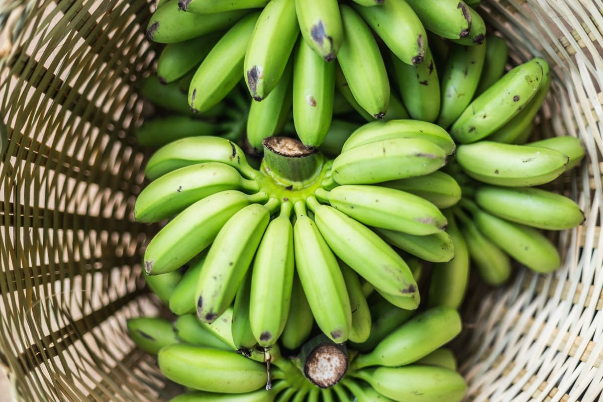 How To Store Green Bananas