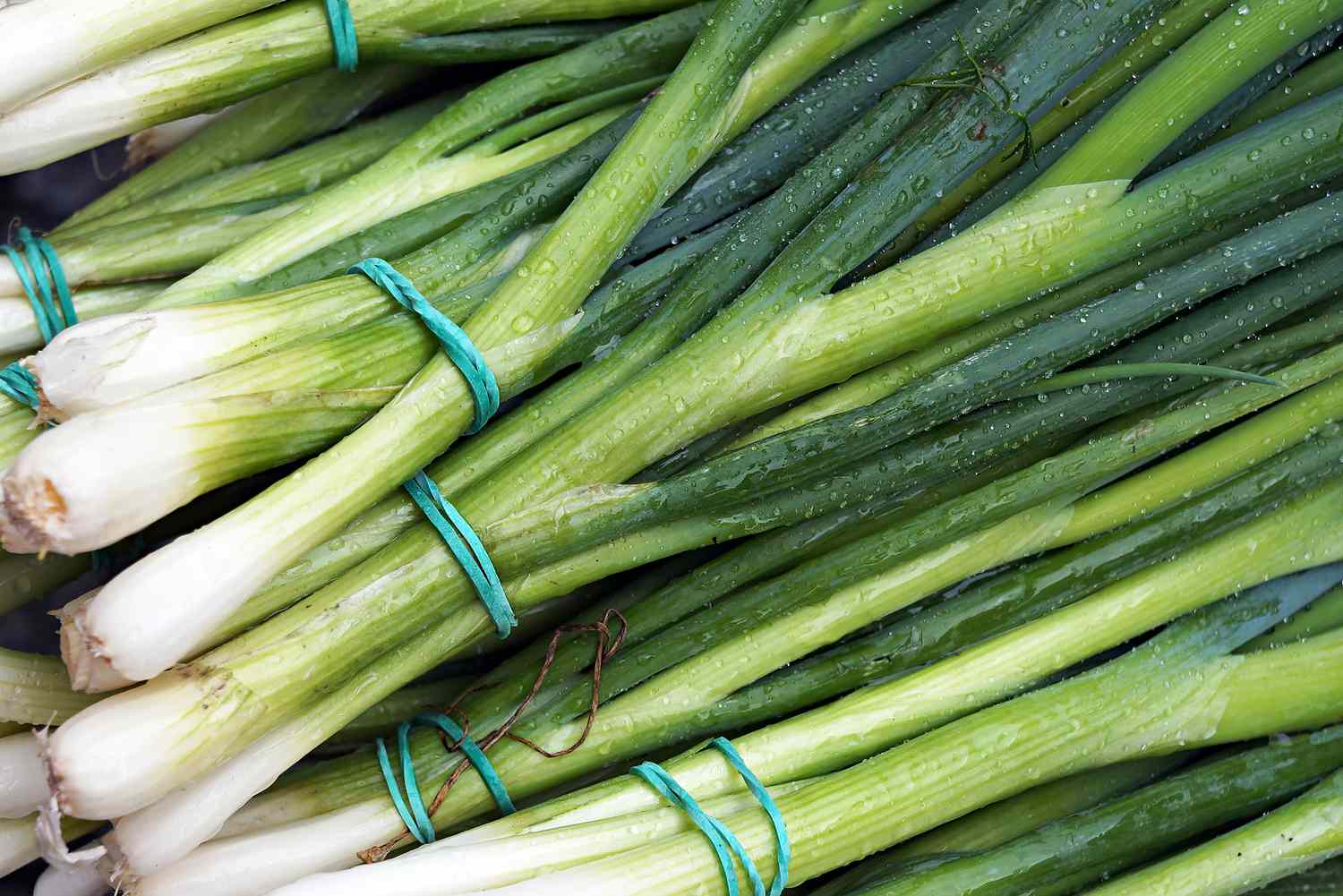 How To Store Green Onions To Last Longer