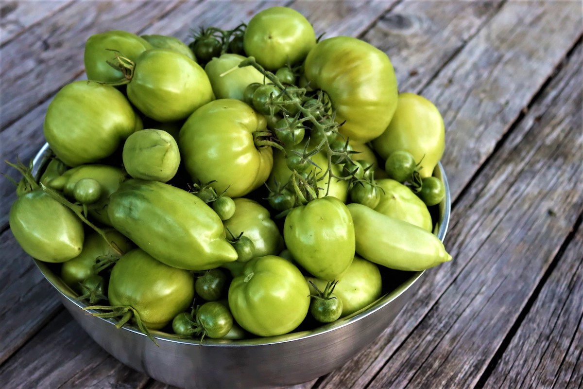 How To Store Green Tomatoes For Months