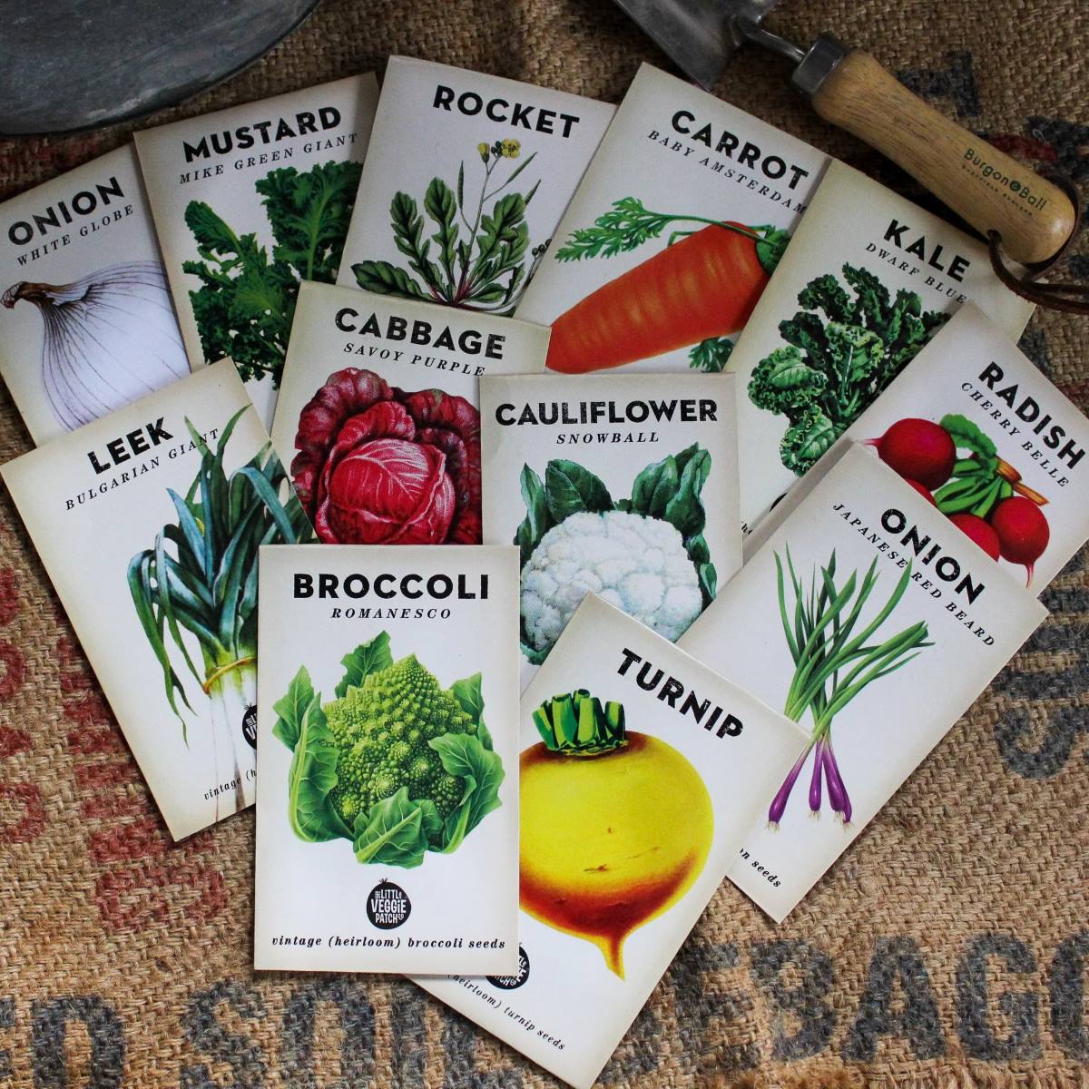 How To Store Heirloom Seeds