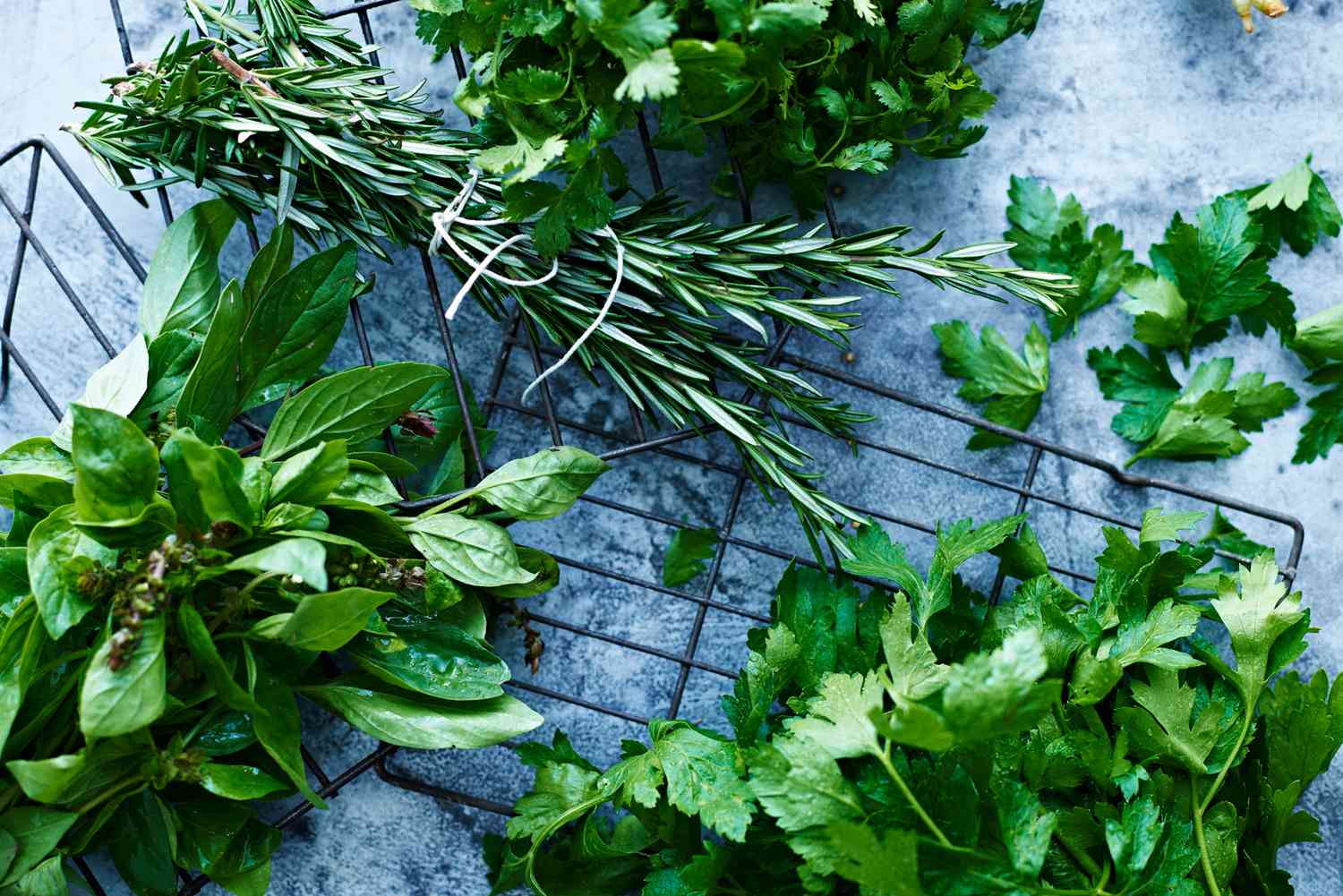How To Store Herbs Long Term