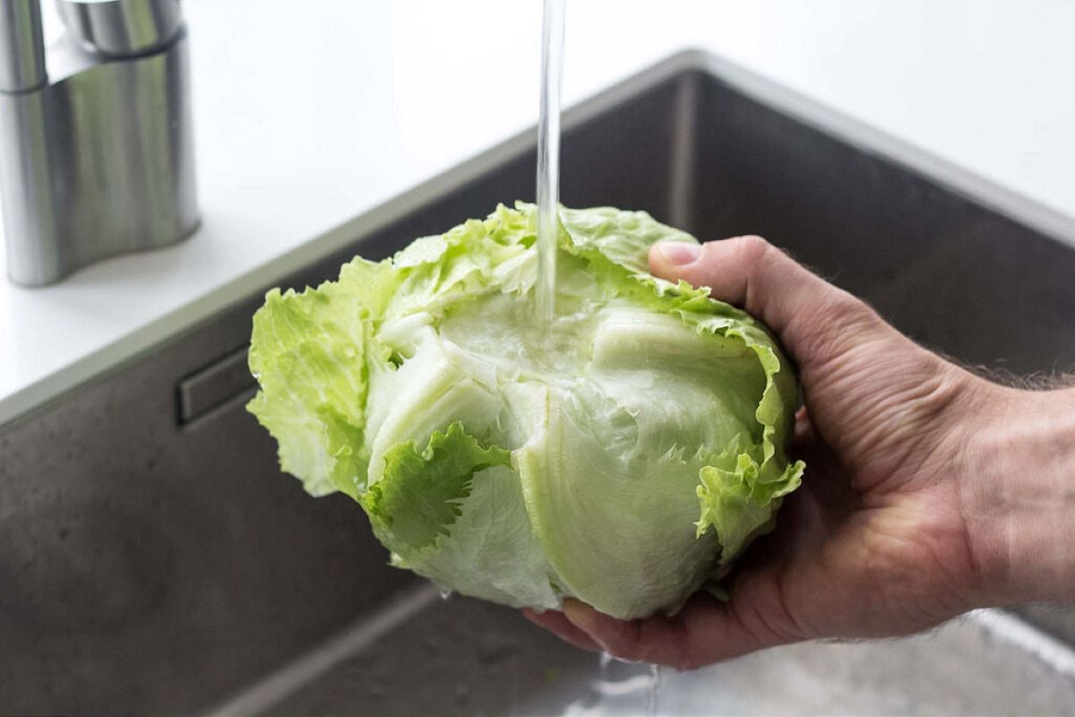 How To Store Iceberg Lettuce After Washing